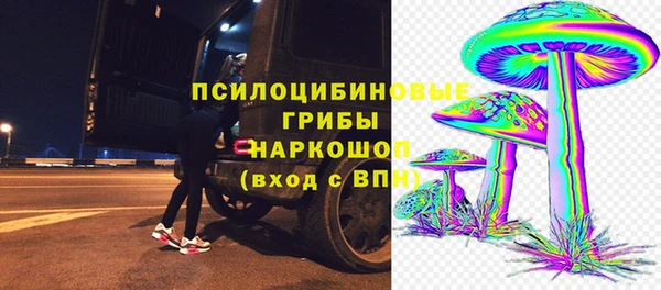 PSILOCYBIN Нефтегорск