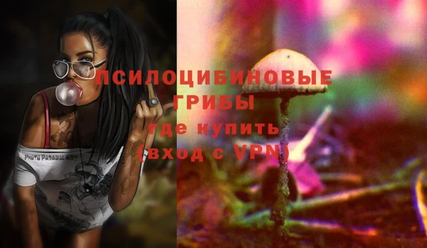 PSILOCYBIN Нефтегорск