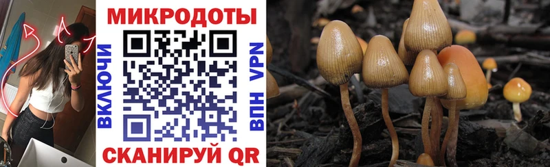 Галлюциногенные грибы MAGIC MUSHROOMS  цена наркотик  блэк спрут ТОР  Отрадное 