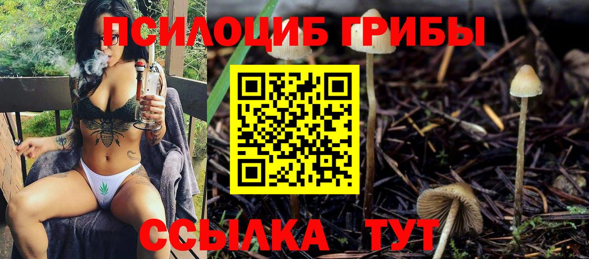 Псилоцибиновые грибы мицелий  Галлюциногенные грибы мицелий  Отрадное 